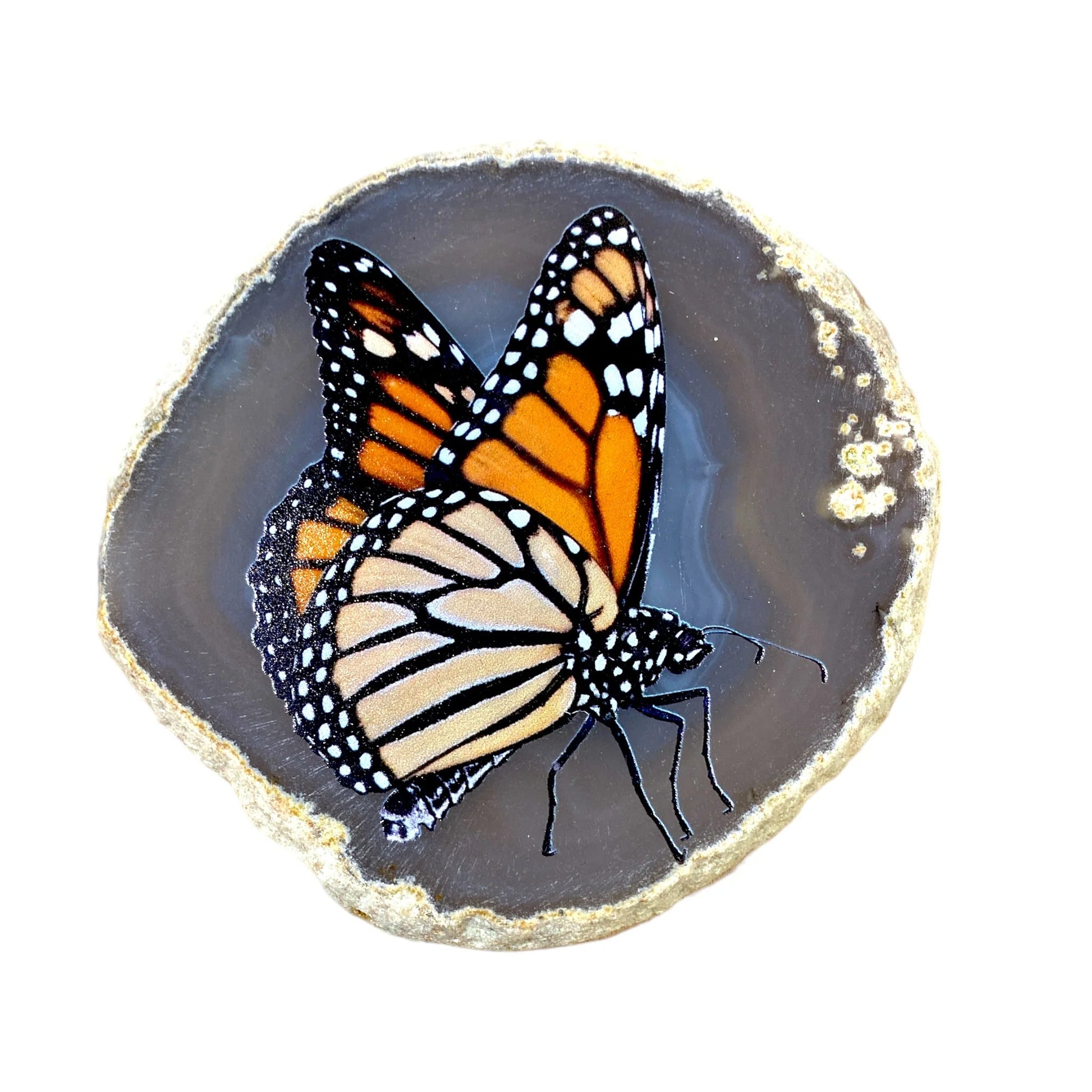 Agate Botswana en plaque papillon - personnalisation et création